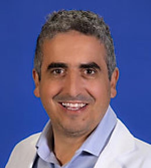 Roy Ben-Shalom Picture